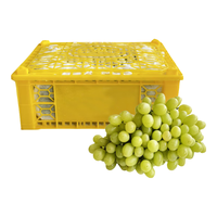 京觅 无籽露葡萄 2kg