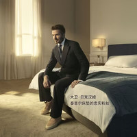 TEMPUR/泰普尔 人工智能可调节 智能床 按摩升降遥控 尺寸 智睡版 Smart Version