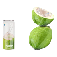 九日 jiur）冰祖椰子水 九日牌越南进口NFC纯椰子汁 整箱饮料网红饮品 椰子汁*12罐