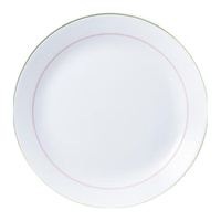 CORELLE康宁餐具美国环彩青春高颜值轻奢餐具家用汤饭碗盘餐具套装 【高端礼盒】环彩青春 8件套