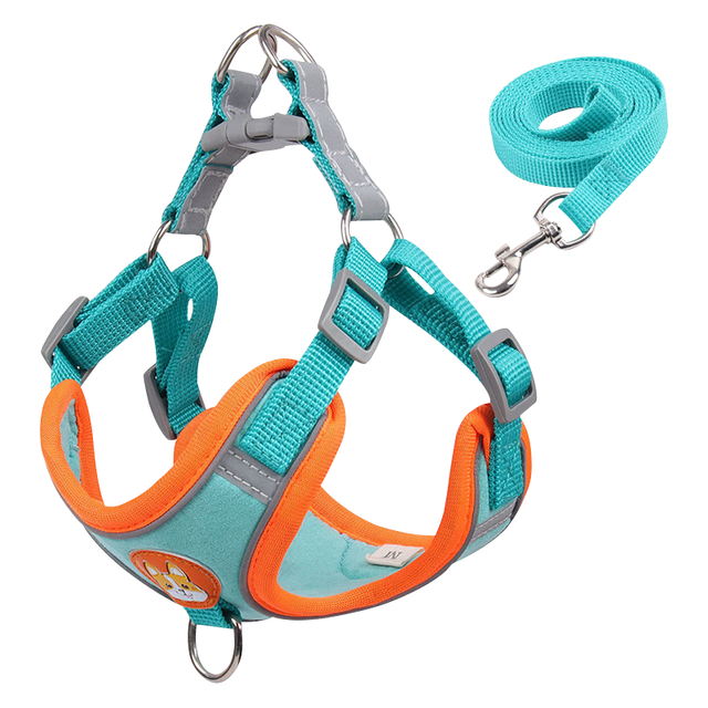 茨格曼 狗绳牵引绳狗链子胸背带遛狗绳子中小型犬宠物用品