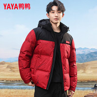 YAYA/鸭鸭羽绒服 加厚保暖 男士羽绒服 炫彩玫红色-YE5B708953H M