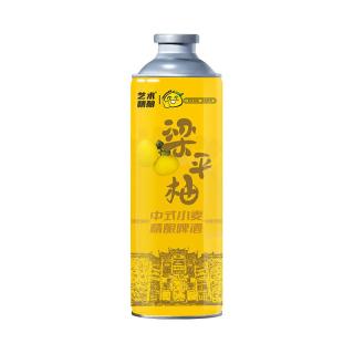  艺术精酿 精酿啤酒  包装，罐装 1L