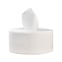 浅柔 大盘卷纸中心抽取式910节卫生抽纸酒店宾馆物业厕所卫生纸 12卷