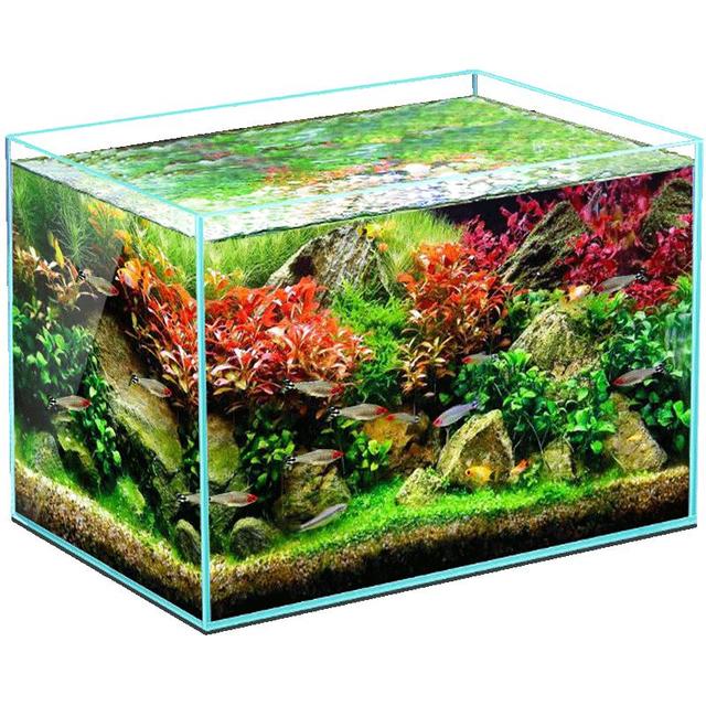 yee 鱼缸金晶超白金鱼裸缸8060家用客厅桌面小草缸龟缸玻璃生态溪流缸 22*16*17*5mm超白玻璃裸缸