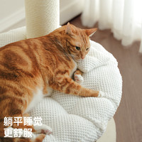 兽牌慕斯实木猫爬架不占地猫架猫窝猫抓板一体带太空舱大猫暖冬可用 泡芙【矮脚猫选这款】