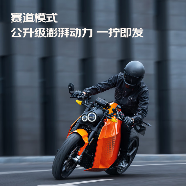 DAVINCI 达芬骑 DC100 高性能电动摩托车 充电桩锂电池摩托车