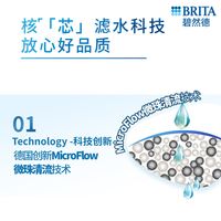 【含周边】碧然德滤芯滤水壶通用滤芯散装6枚滤芯多批次