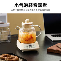 小南瓜 全玻璃壶身 养生壶 滤网  米黄 1L