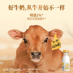 认养一头牛 娟姗牛奶4.0g原生蛋白高钙低温奶200ml*12瓶源头直发