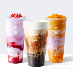 树夏 招牌3选1套餐兑换券·1张 1次券
