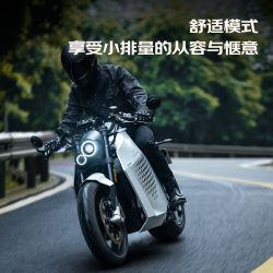 DAVINCI 达芬骑 DC100 高性能电动摩托车 充电桩锂电池摩托车