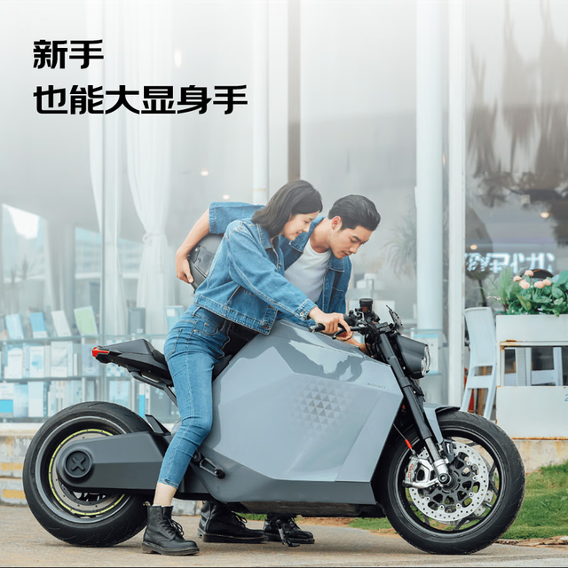 DAVINCI 达芬骑 DC100 高性能电动摩托车 充电桩锂电池摩托车