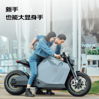 DAVINCI 达芬骑 DC100 高性能电动摩托车 充电桩锂电池摩托车