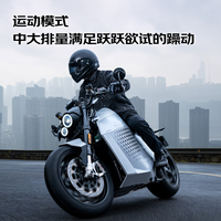 DAVINCI 达芬骑 DC100 高性能电动摩托车 充电桩锂电池摩托车