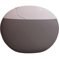 大卫伯爵 创意蛋形智能马桶杀菌语音泡沫盾座便即热全自动烘干智能座便器 简约版 300坑距