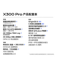 vivo X300 Pro 蔡司2亿APO长焦 旷野棕 16GB+1TB 5G手机+运动套装