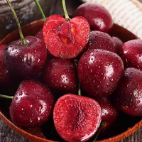 【海运预售】进口车厘子智利大樱桃2J级原箱批发价当季新鲜水果