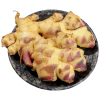 京百味 云南带泥小黄姜 净重4.5斤 生姜 新鲜蔬菜 源头直发 云南小黄姜 5斤