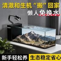 坤宁王 侧滤鱼缸桌面溪流缸超白玻璃一体缸免换水干湿分离生态鱼缸40*15