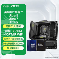 英特尔（Intel）酷睿Ultra系列225F 230F 245K 245KF 265KF 285K CPU台式机处理器内存微星主板爆破弹迫击炮刀锋钛 微星 B860M MORTAR WIFI  迫击炮 异极北极星 v1-A 16G 4800 C40