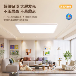 雷士 护眼防眩 客厅灯  多种色温