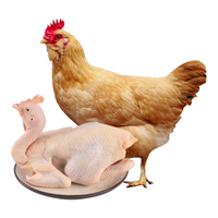  温润 散养跑山鸡 胡须鸡  【广东特色名鸡】胡须鸡1kg 净膛、冷藏 1kg