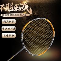 浦锐 P.R IND 苍穹之刃 羽毛球拍 24磅 单拍