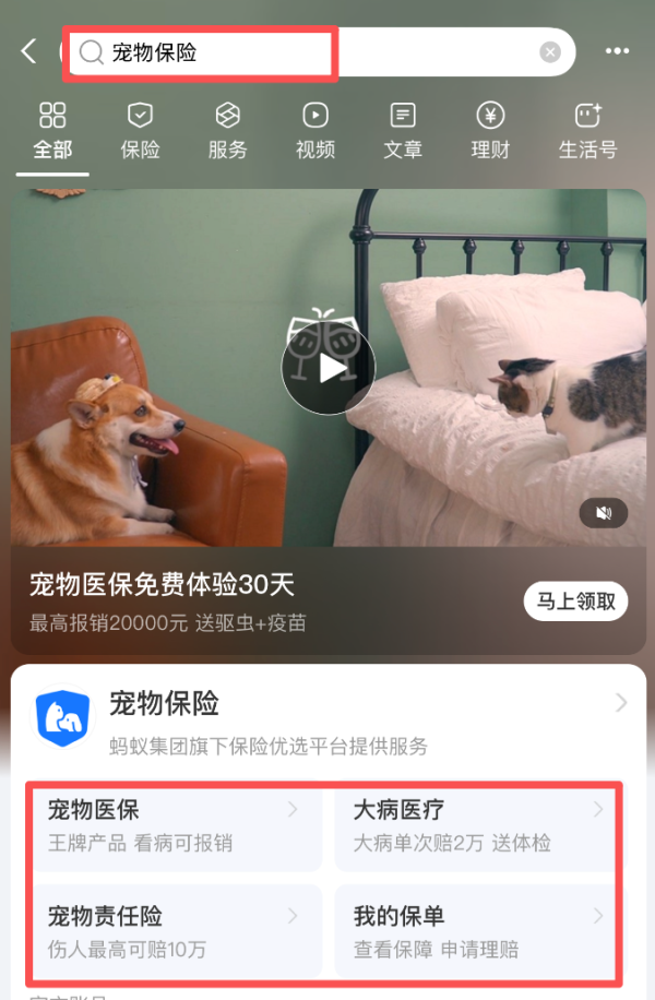 养宠家长必看!毛孩子的医疗费这样保划算~