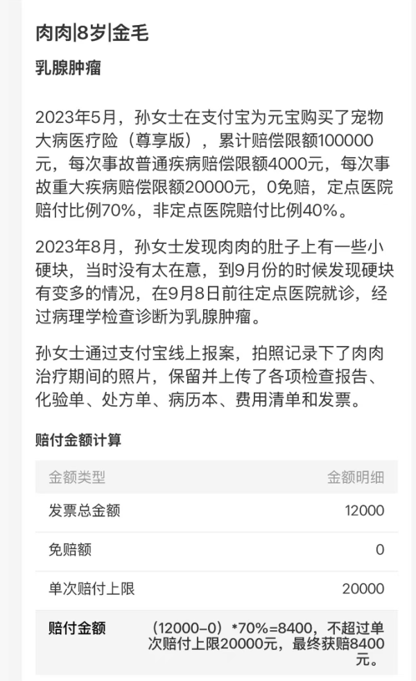 养宠家长必看!毛孩子的医疗费这样保划算~