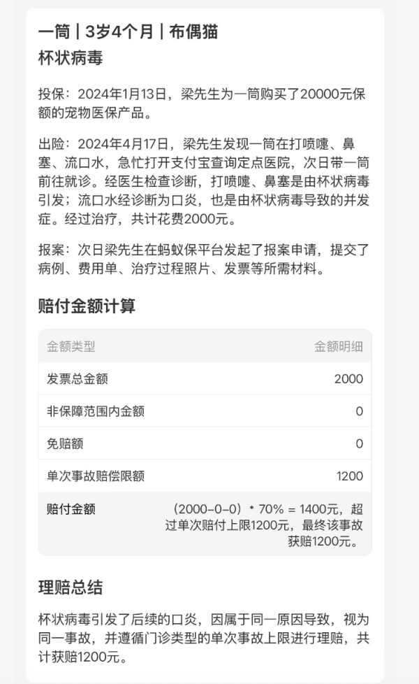 养宠家长必看!毛孩子的医疗费这样保划算~