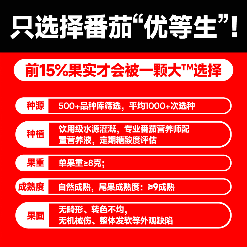 【一颗大】红黄绿宝石樱桃番茄新鲜自然熟生吃小西红柿458g/盒