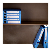 奈高 NG保密柜隔板文件柜资料柜隔板一块