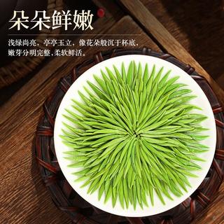 赛八仙 6A珍品毛尖2025新茶信阳绿茶特级茶叶嫩芽散装高端芽尖毛尖茶