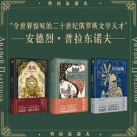 切文古尔基坑原始海全套3册俄普拉东诺夫小说海明威