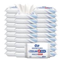 爱恩倍 酒精湿巾 10片*10包