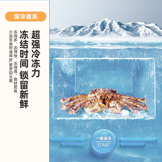  Frestec/新飞 大容量 冷柜  400L