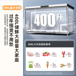  Frestec/新飞 大容量 冷柜  400L