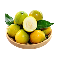 京觅 千禧小西红柿 1.5kg