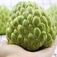 梦茜儿 释迦果 5斤牛奶凤梨释迦新鲜水果礼盒玫瑰番荔枝甜蜜大目 A级 3斤特大果【4两+】普快 A级 3斤大果 普快｜香甜多汁