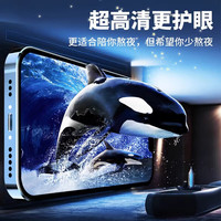 鹿霜 高清护眼抗蓝光 iPhone17钢化膜
