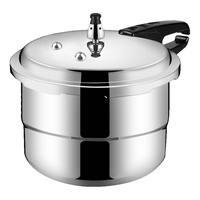 DOUBLE HAPPINESS 双喜 压力锅(20cm、4.8L、铝合金、明火专用)
