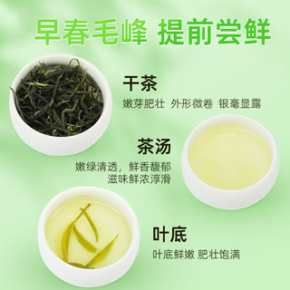 茶马世家绿茶2025新茶250g毛峰明前春茶头采浓香型茶叶袋装自己喝 【2025新茶】早春毛峰250g
