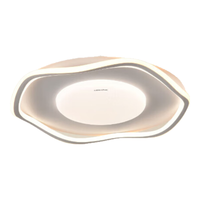 三雄极光led吸顶灯 客厅大灯卧室餐厅灯全光谱护眼流水追光全屋灯具套餐 星逸 64W  Ra97 白色