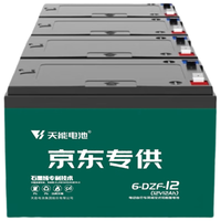天能 48V12Ah电动车铅酸电池