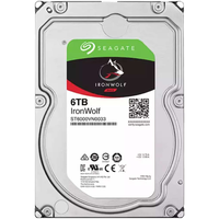  SEAGATE/希捷 垂直磁记录 NAS硬盘