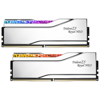 G.SKILL 32GB(16Gx2)套装 DDR5 6000频率 台式机内存条-皇家戟EXPO版RGB灯条-银色/C28