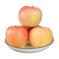 京鲜生山西膜袋富士苹果 净重8.5斤单果75-80mm 新鲜水果 源头直发