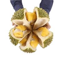 大飞猫山王榴莲马来西亚液氮冷冻鲜果 3.0-3.6斤家庭贵族 保4房/果肉25~30%