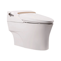 美标智能一体马桶储热式缓降智能坐便器多功能遥控器无水压智能马桶 客服备注坑距